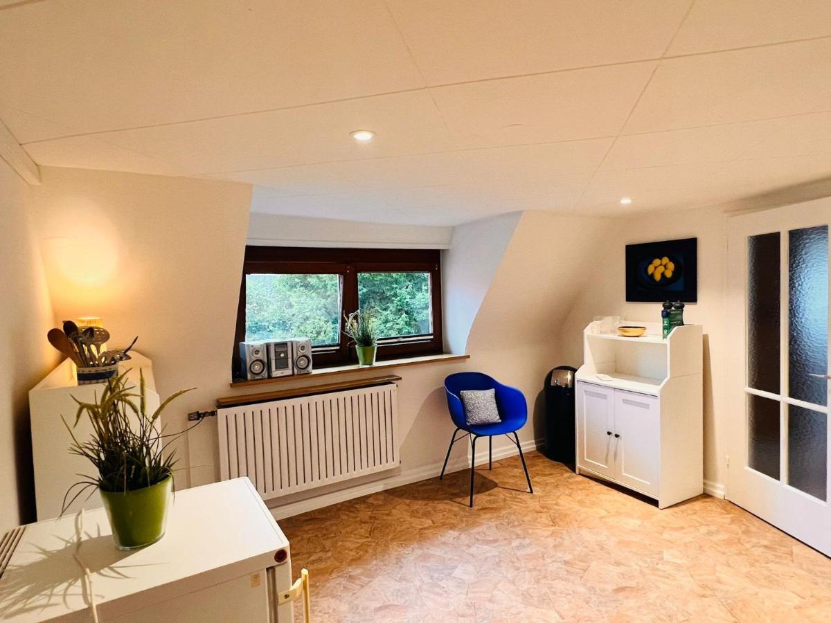 Sophie - Wlan, Kueche, Tv, Wama, Haustiere Auf Anfrage Holiday home Malterdingen